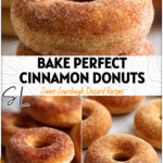 Close-up of golden brown homemade doughnuts coated in cinnamon sugar from an oven bake.